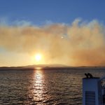 orebic pozar peljesac trajekt6
