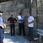 procistac 11