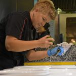 GOOD FOOD DINO AMFORA 2