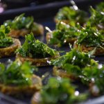 Good Food Dino Radionica 111
