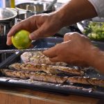 Good Food Dino Radionica 225