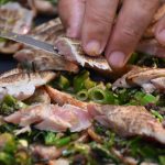 Good Food Dino Radionica 252