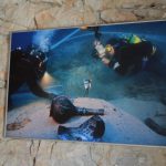 Otok Mljet plicina Sveti Pavao 5