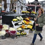 Placa cvijece Svi sveti 28