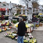 Placa cvijece Svi sveti 41