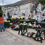 Placa cvijece Svi sveti 42
