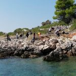 Valamar Green Sea Safari 1