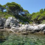 Valamar Green Sea Safari 2