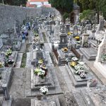 boninovo svi sveti cvijece 2018 15