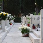 boninovo svi sveti cvijece 2018 19