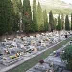 boninovo svi sveti cvijece 2018 21