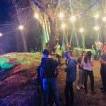 koncert u djardinu 2