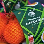 NERETVA U ZAGREBU Bandić poručio: Kupujte mandarine izravno od proizvođača! 3 neretvanska mandarina zagreb 3
