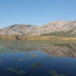 ravnatelji ustanova zastita prirode 2