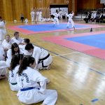 FOTO/TREĆI TAEKWON-DO TURNIR Natječe se 300 natjecatelja iz devet država! 3 taekwon do012