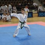 FOTO/TREĆI TAEKWON-DO TURNIR Natječe se 300 natjecatelja iz devet država! 5 taekwon do018