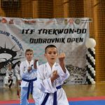 FOTO/TREĆI TAEKWON-DO TURNIR Natječe se 300 natjecatelja iz devet država! 7 taekwon do028