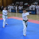 FOTO/TREĆI TAEKWON-DO TURNIR Natječe se 300 natjecatelja iz devet država! 8 taekwon do033
