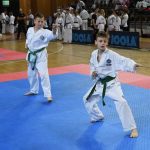FOTO/TREĆI TAEKWON-DO TURNIR Natječe se 300 natjecatelja iz devet država! 9 taekwon do036