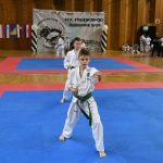 FOTO/TREĆI TAEKWON-DO TURNIR Natječe se 300 natjecatelja iz devet država! 10 taekwon do038