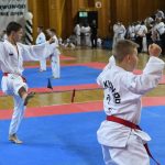 FOTO/TREĆI TAEKWON-DO TURNIR Natječe se 300 natjecatelja iz devet država! 11 taekwon do042