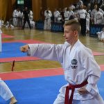 FOTO/TREĆI TAEKWON-DO TURNIR Natječe se 300 natjecatelja iz devet država! 12 taekwon do048
