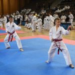 FOTO/TREĆI TAEKWON-DO TURNIR Natječe se 300 natjecatelja iz devet država! 13 taekwon do053