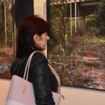 IZLOZBA RASOL PULITIKA MASLE 20