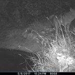 Life Lynx Blog 1