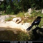 Life Lynx Blog 2