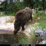 Life Lynx Blog 3