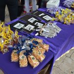 Lionsi Sponza 13