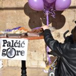 PALCIC GORE STRADUN 13