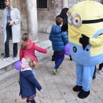 PALCIC GORE STRADUN 33