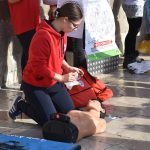 PALCIC GORE STRADUN 41