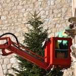 Postavljanje Bora Stradun 7