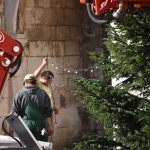 Postavljanje Bora Stradun 8