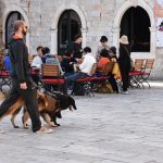 Spica Stradun 26