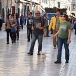 Spica Stradun 7