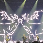 c Pixies Caribou