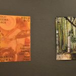 dani kreativnih kulturnih industrija luza