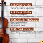 dso plakat02112018 preview3
