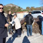 grad dodjela sadnica 7