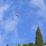 paraglideri197