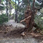 25122018 gradac bor bura 1