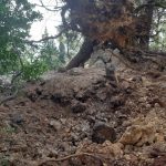 25122018 gradac bor bura 3