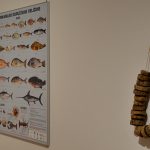 Raznolikost morskih ribolovnih alata u Hrvata 8