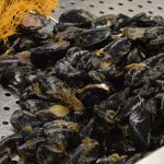 Ribarnica Gruz 14122018 13