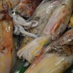 Ribarnica Gruz 14122018 21