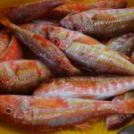 Ribarnica Gruz 14122018 25